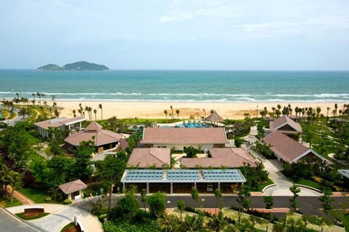 海藍(lán)陽(yáng)光醉好什么價(jià)格